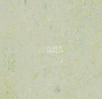 Линолеум Forbo Marmoleum Marbled Splash 3430-343035 salsa verde фото 1 | FLOORDEALER